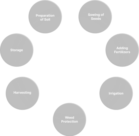 info-graph-cycle-2